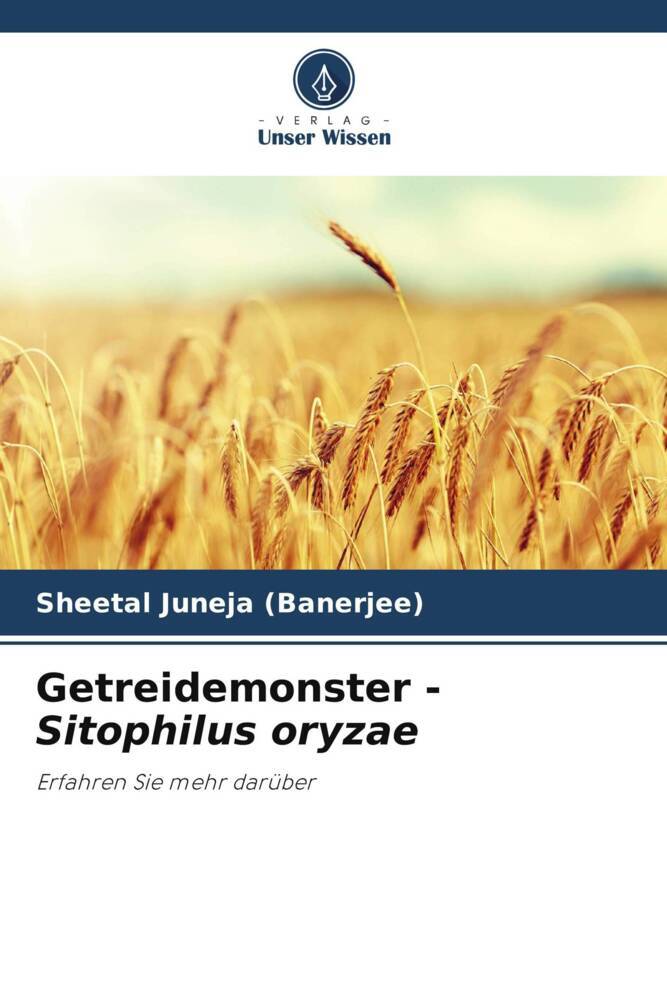 Getreidemonster - Sitophilus oryzae