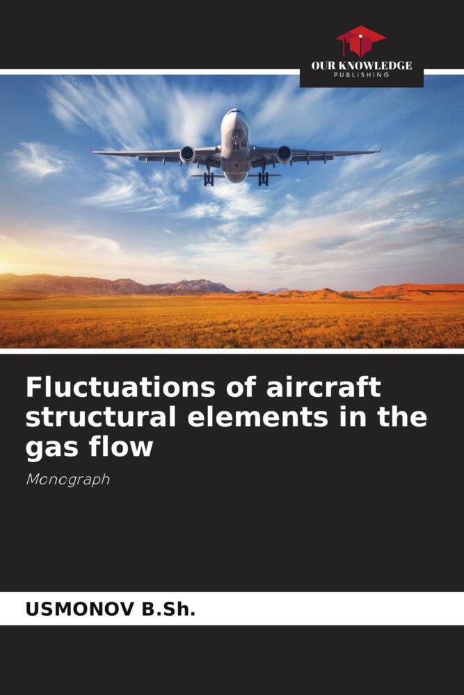 Fluctuations of aircraft structural elements in the gas flow