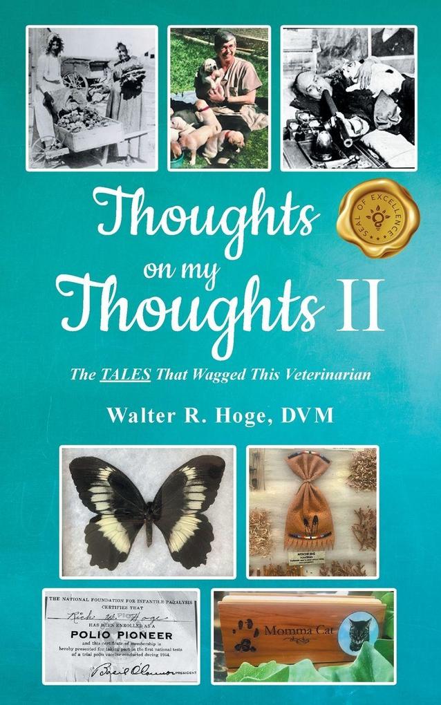 Thoughts on my Thoughts II