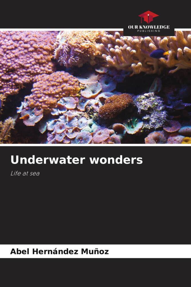 Underwater wonders
