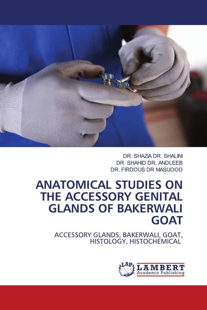 ANATOMICAL STUDIES ON THE ACCESSORY GENITAL GLANDS OF BAKERWALI GOAT