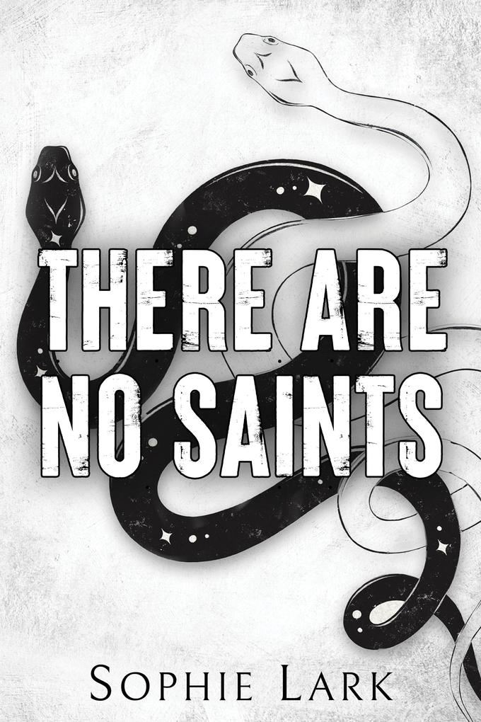 Sourcebooks Llc There Are No Saints