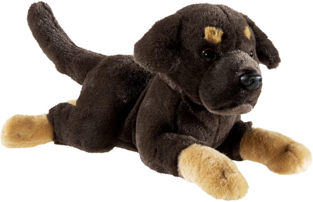 Heunec - Puppy Labrador liegend