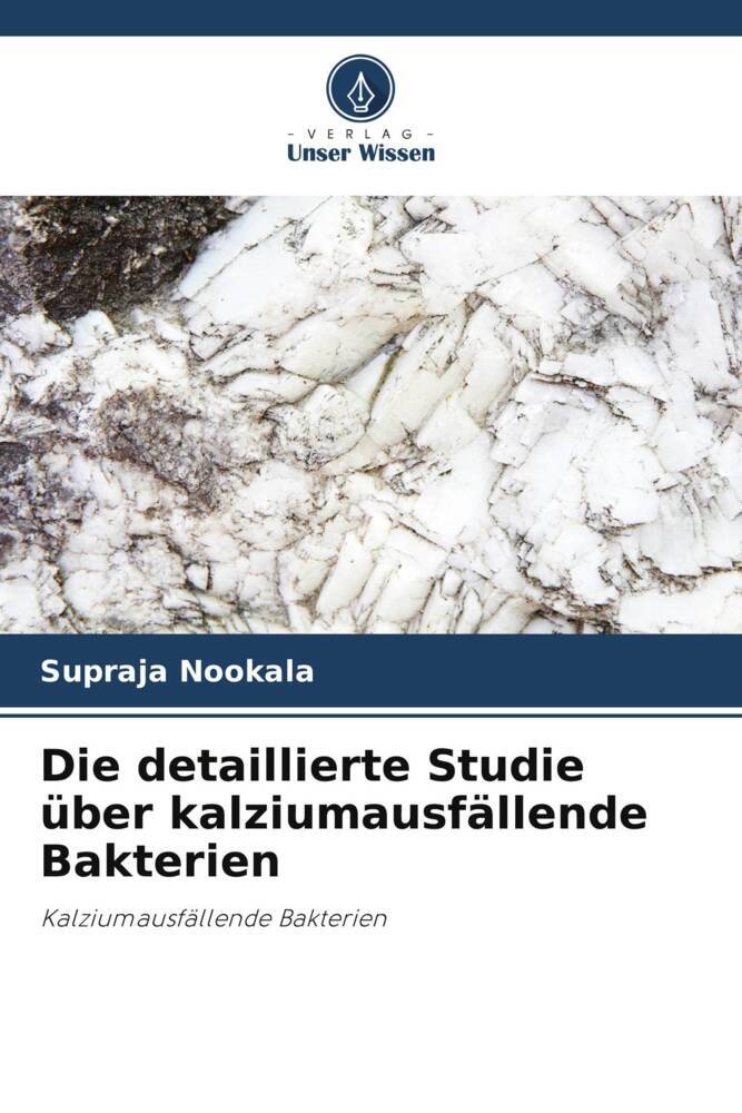 Die detaillierte Studie über kalziumausfällende Bakterien