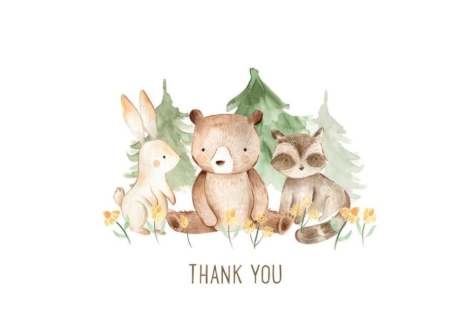 Baby Thank You Note Cards (14 Cards 15 Self-Sealing Envelopes)