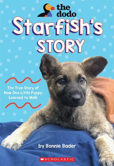 Starfish‘s Story (the Dodo)