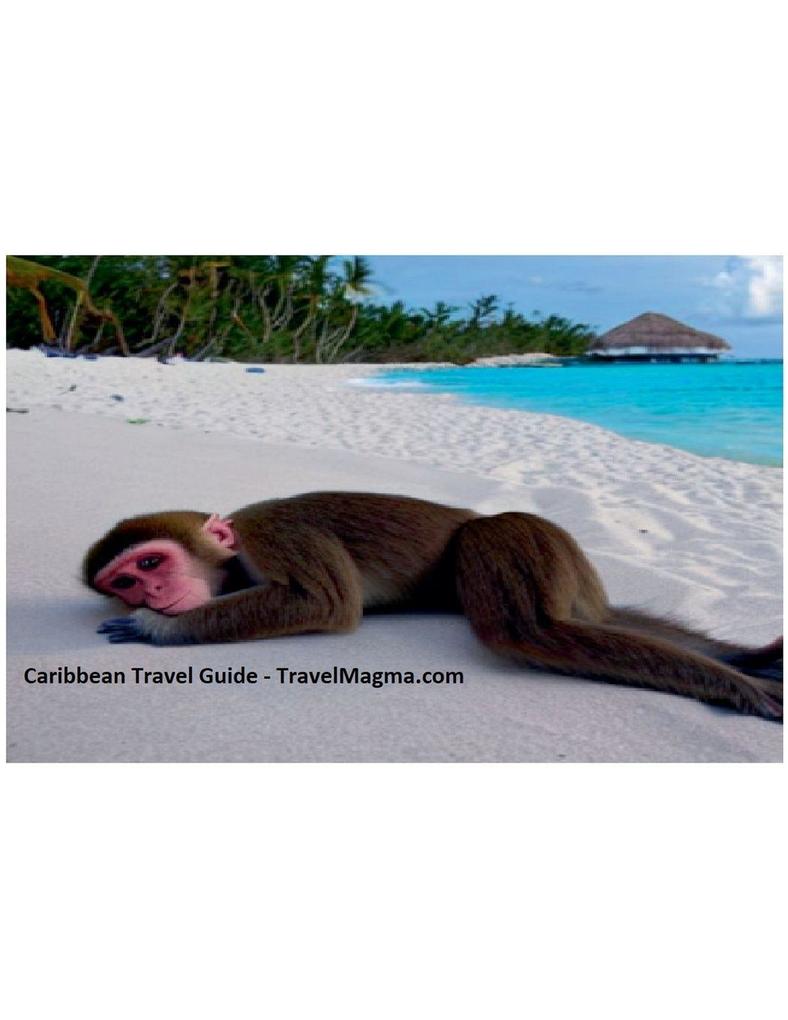 Caribbean Travel Guide - Explore the Caribbean Islands