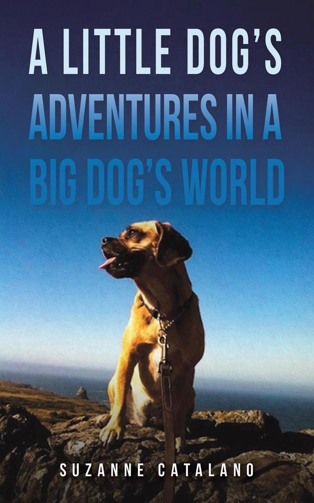 A Little Dog‘s Adventures in a Big Dog‘s World