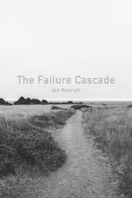 The Failure Cascade