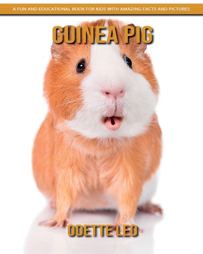 Guinea Pig