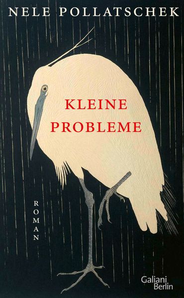 Galiani Verlag Kleine Probleme