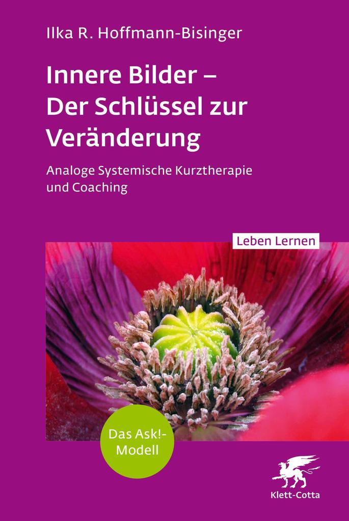 Innere Bilder - Der Schlüssel zur Veränderung (Leben Lernen Bd. 343)