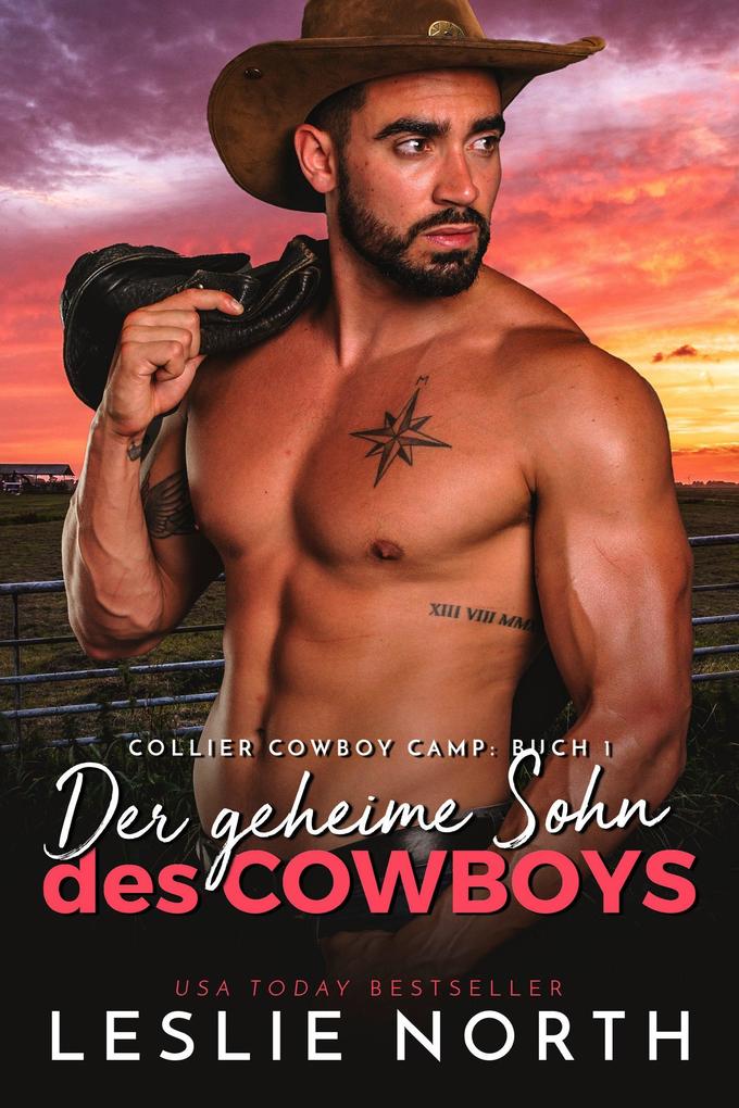 Der geheime Sohn des Cowboys (Collier Cowboy Camp Serie #1)
