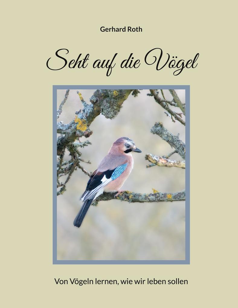 Seht auf die Vögel