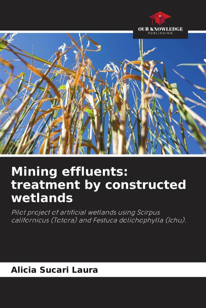 Mining effluents: treatment by constructed wetlands