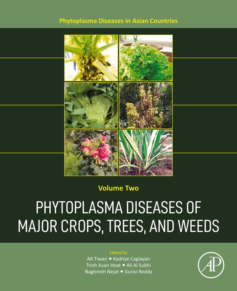 Phytoplasma Diseases of Major Crops Trees and Weeds