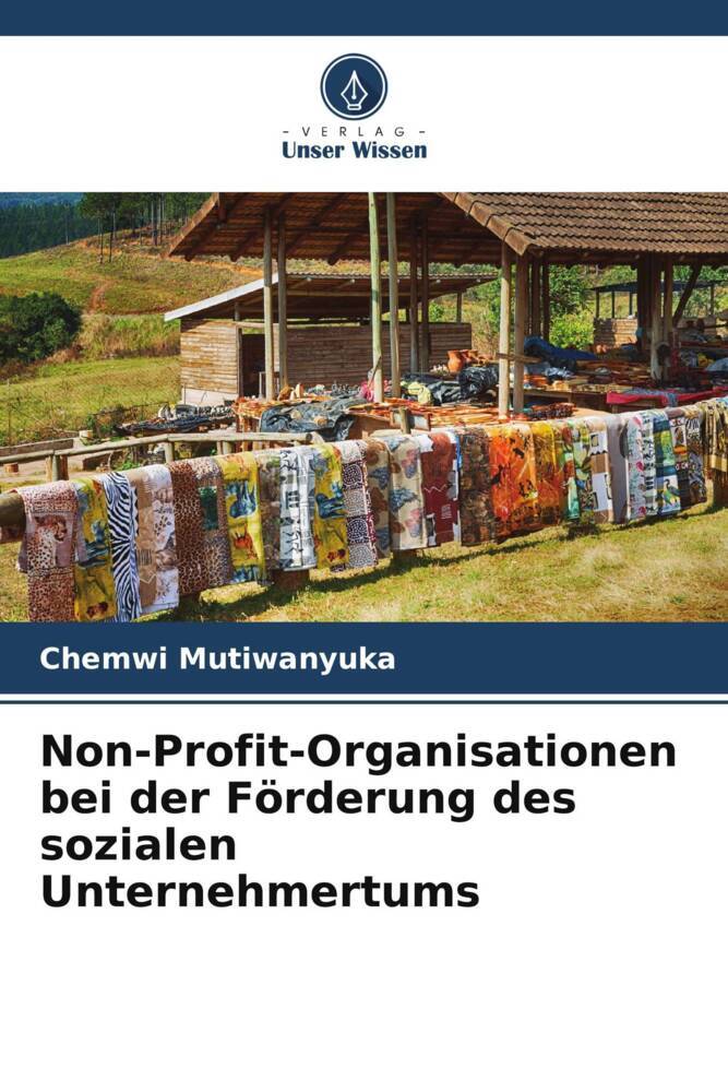 Non-Profit-Organisationen bei der Förderung des sozialen Unternehmertums