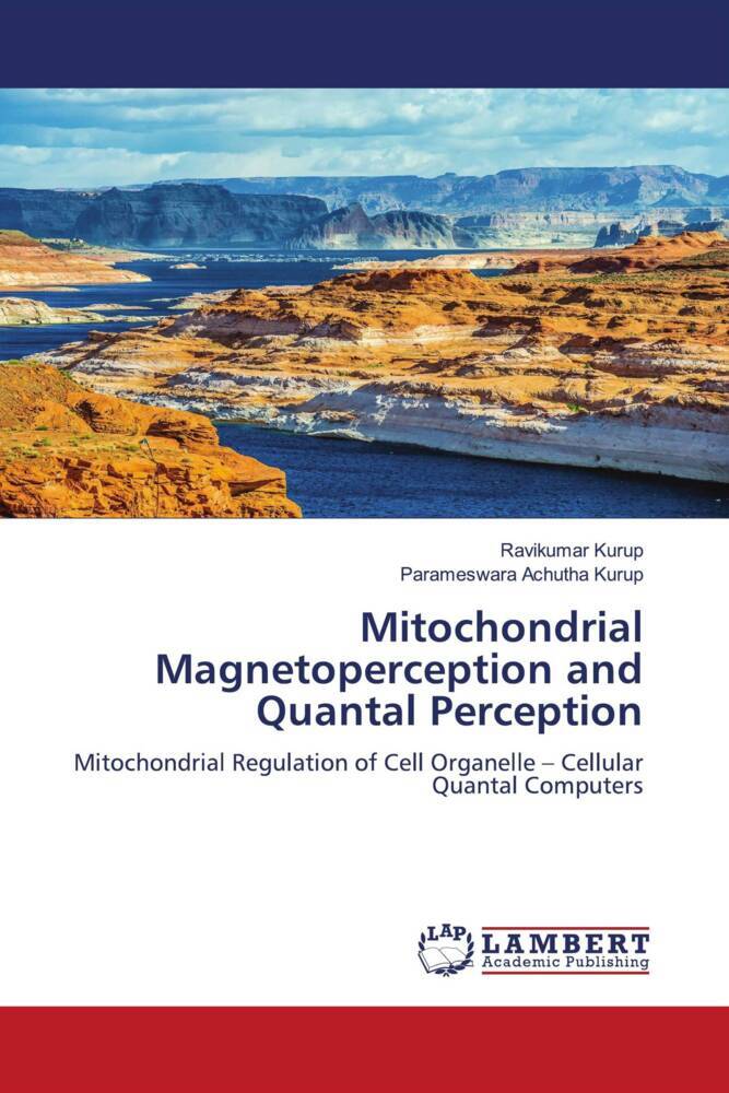 Mitochondrial Magnetoperception and Quantal Perception