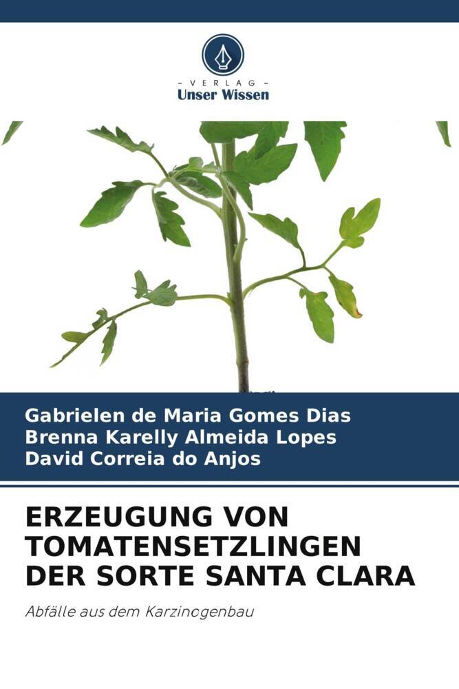 ERZEUGUNG VON TOMATENSETZLINGEN DER SORTE SANTA CLARA