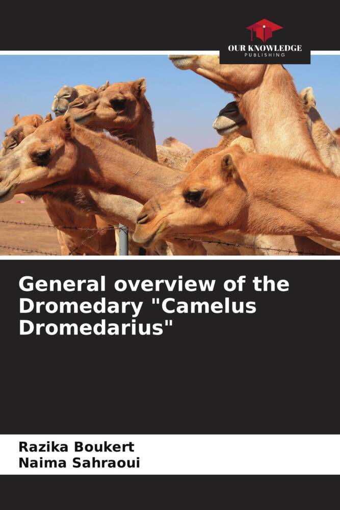 General overview of the Dromedary 'Camelus Dromedarius'
