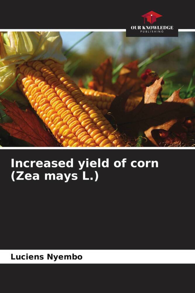 Increased yield of corn (Zea mays L.)