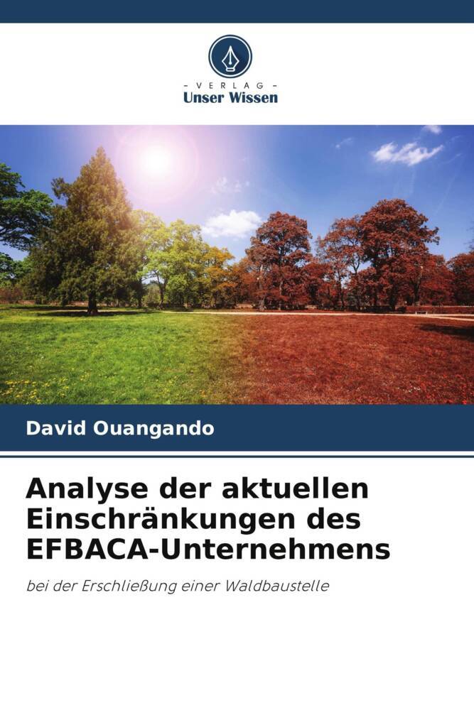 Analyse der aktuellen Einschränkungen des EFBACA-Unternehmens