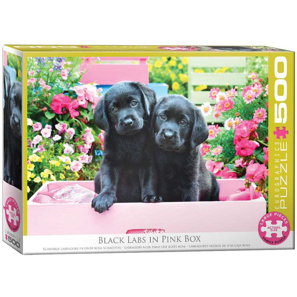 Eurographics 6500-5462 - Schwarze Labradore in einer rosa Schachtel Puzzle 500 Teile