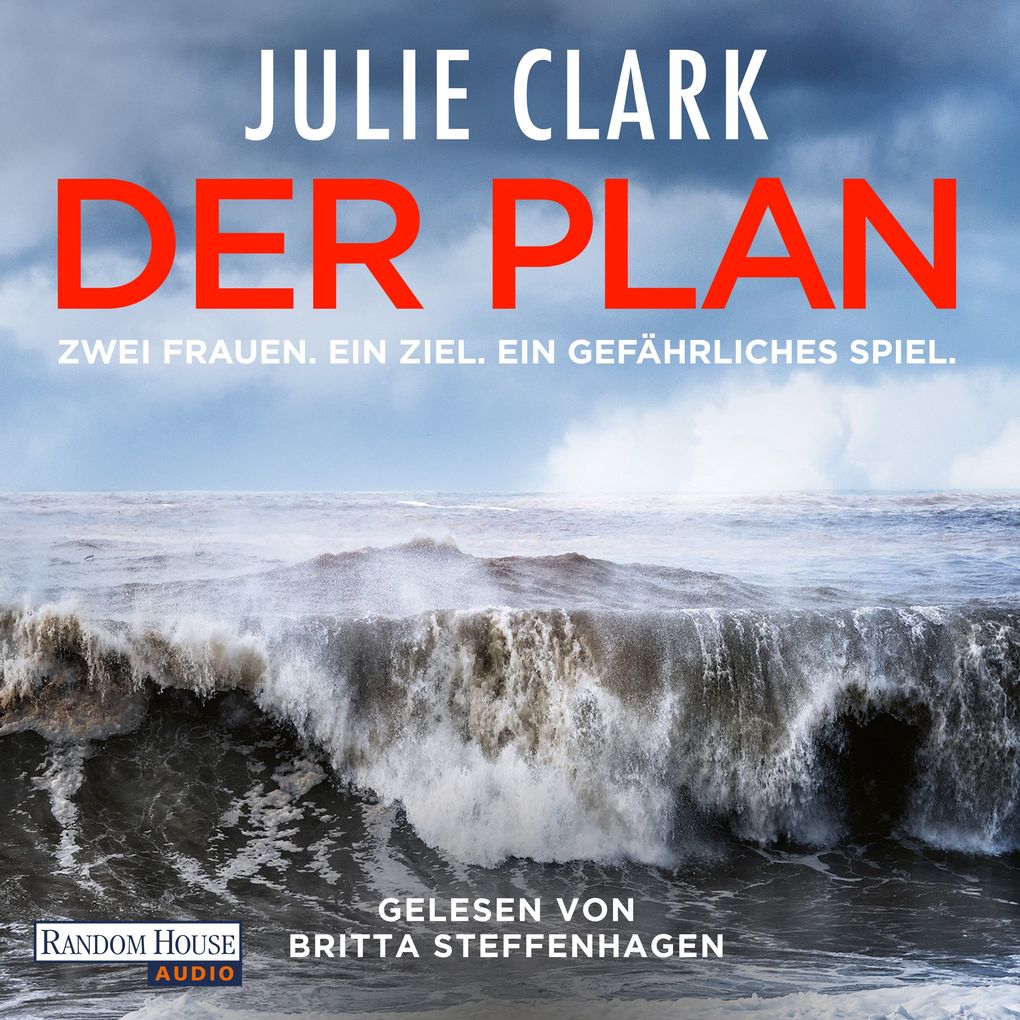 Der Plan Zwei Frauen. Ein Ziel. Ein gefährliches Spiel