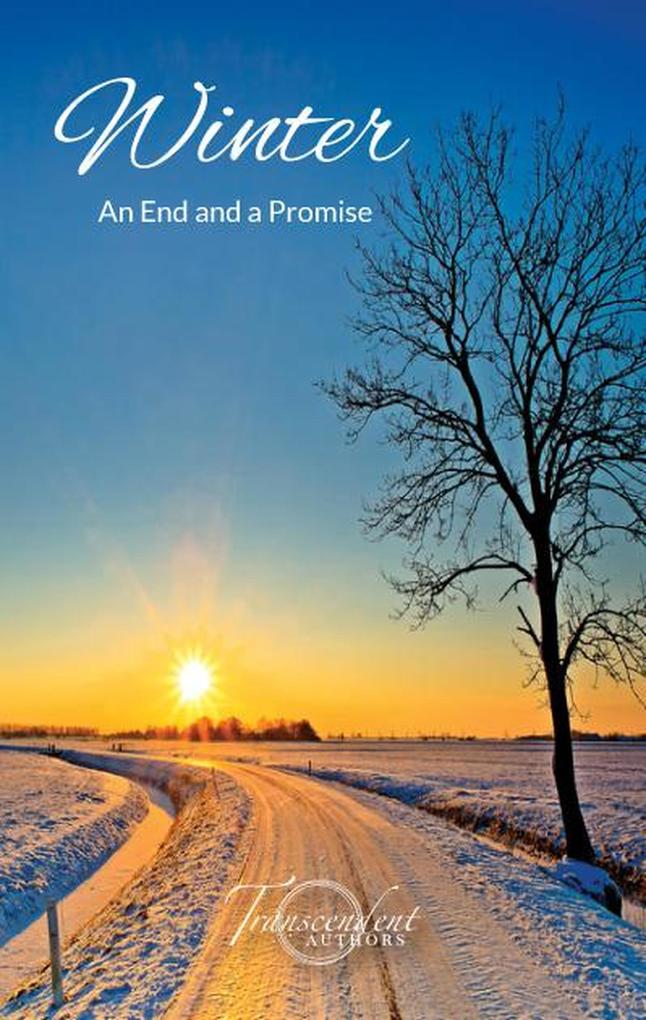 Winter An End and a Promise (The Seasons #3)