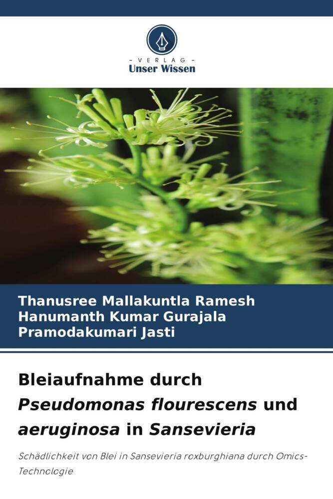 Bleiaufnahme durch Pseudomonas flourescens und aeruginosa in Sansevieria