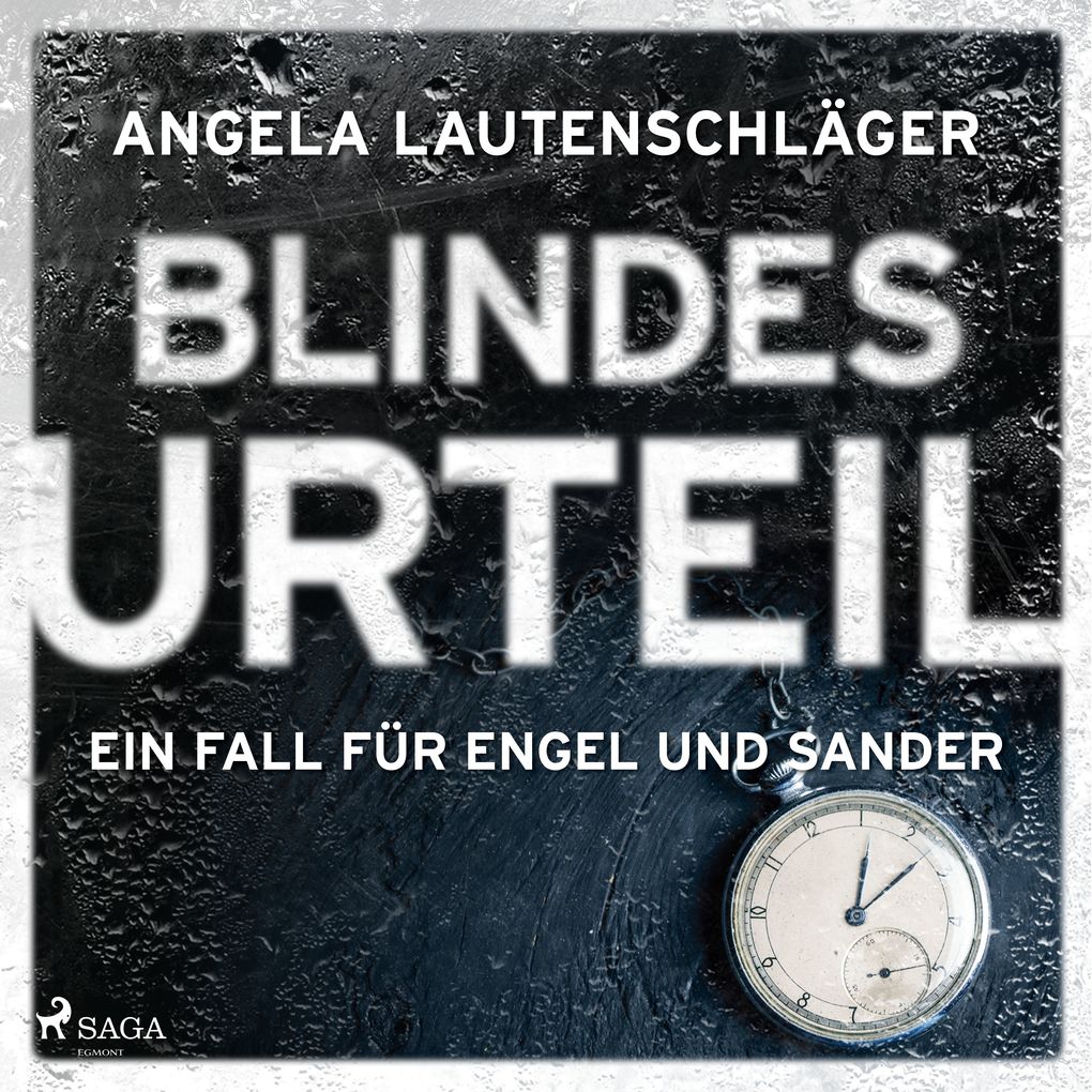 Blindes Urteil (Ein Fall für Engel und Sander Band 4)