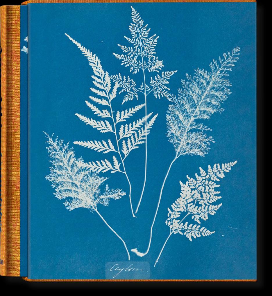 Taschen GmbH Anna Atkins. Cyanotypes