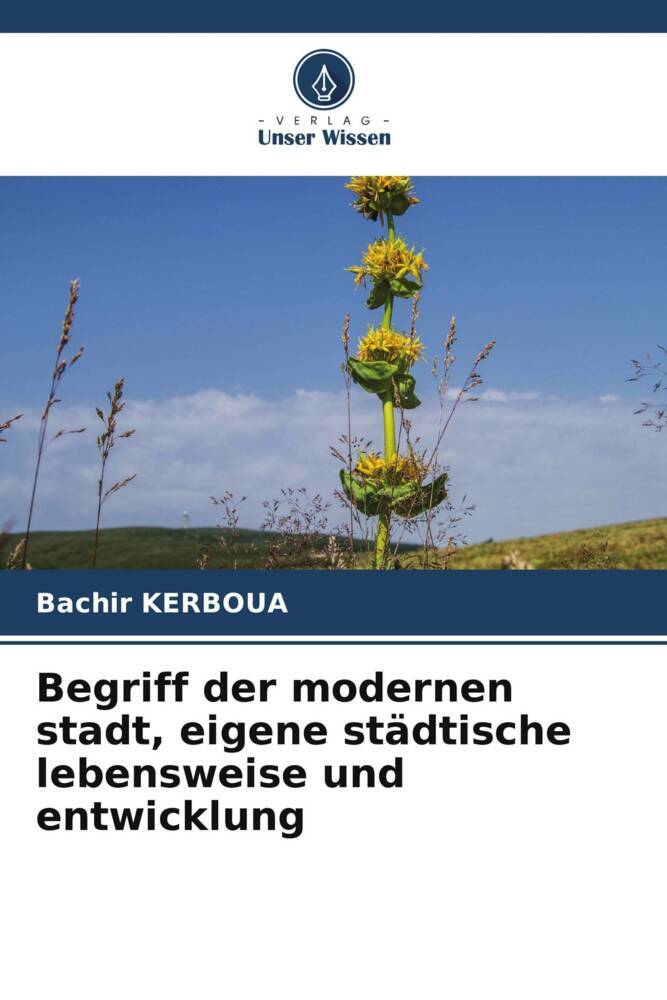 Begriff der modernen stadt eigene städtische lebensweise und entwicklung