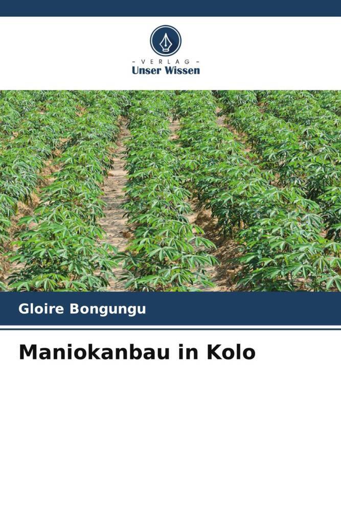 Maniokanbau in Kolo