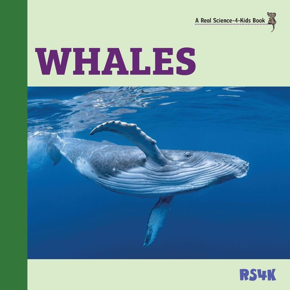 Whales
