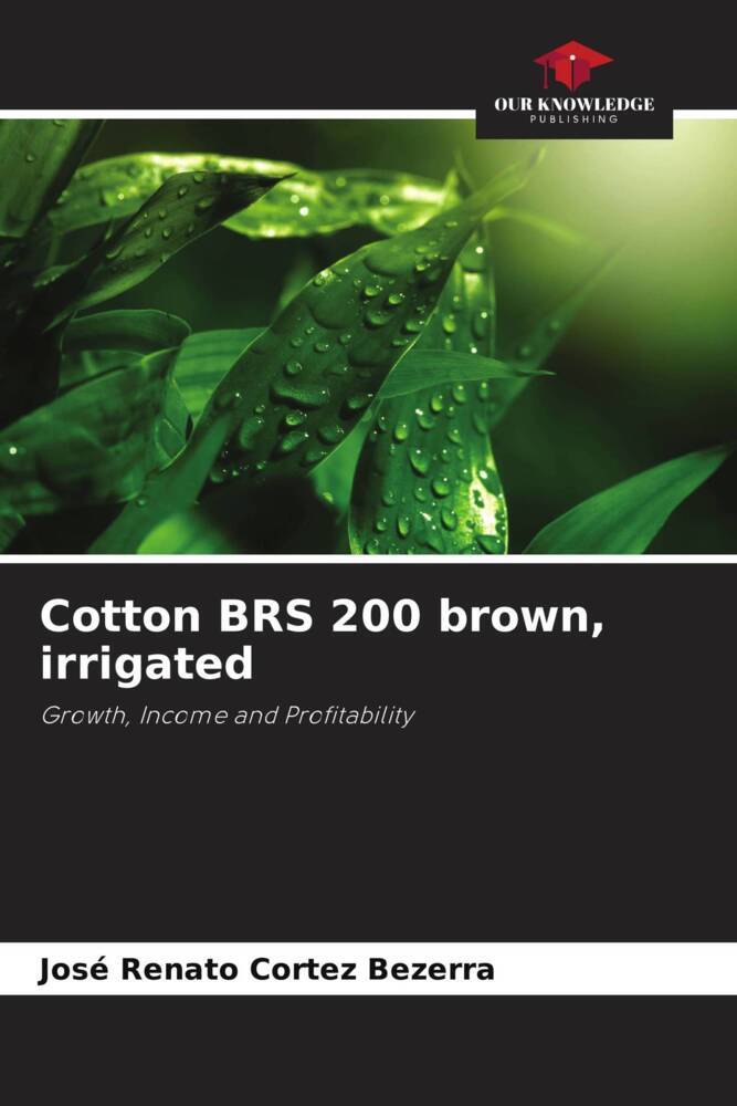 Cotton BRS 200 brown irrigated