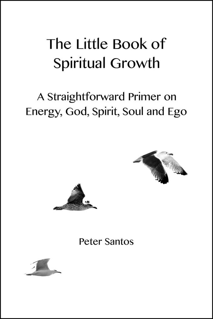 The Little Book of Spiritual Growth