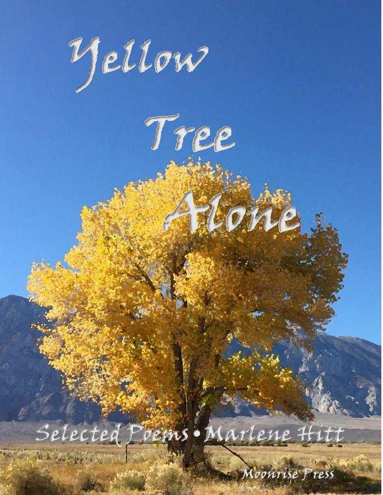 Yellow Tree Alone