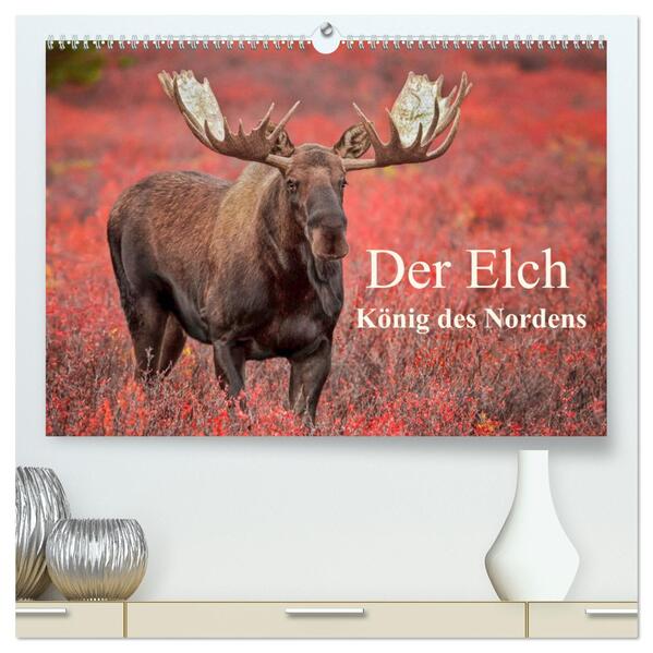 Der Elch - König des Nordens (hochwertiger Premium Wandkalender 2024 DIN A2 quer) Kunstdruck in Hochglanz