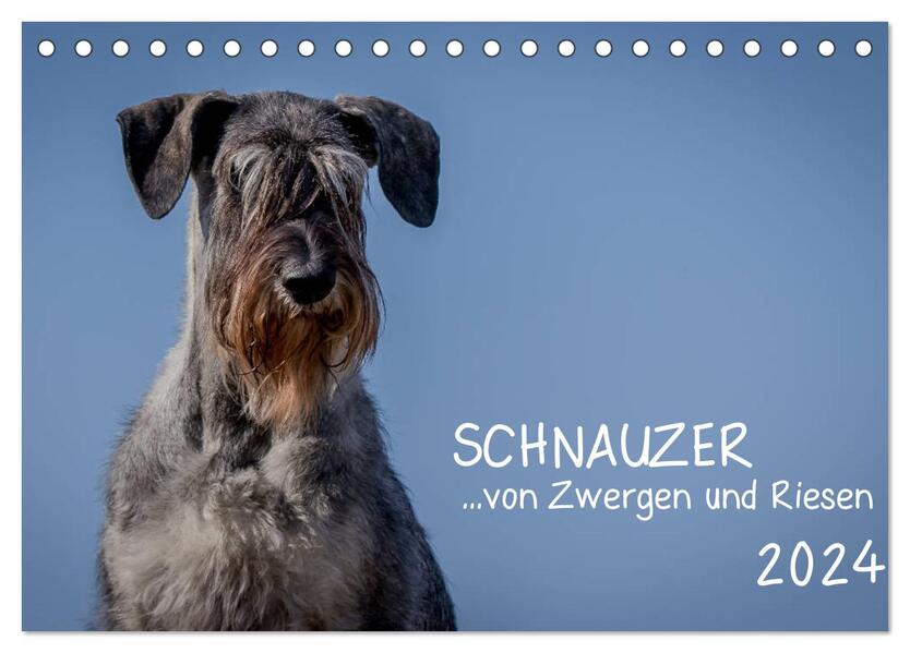 Schnauzer... von Zwergen und Riesen 2024 (Tischkalender 2024 DIN A5 quer) CALVENDO Monatskalender