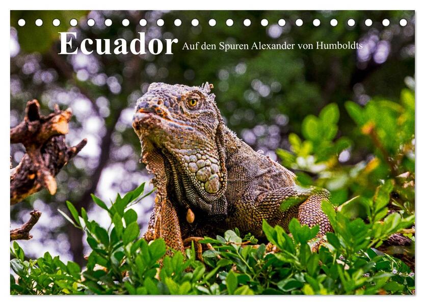 Ecuador - Auf den Spuren Alexander von Humboldts (Tischkalender 2024 DIN A5 quer) CALVENDO Monatskalender