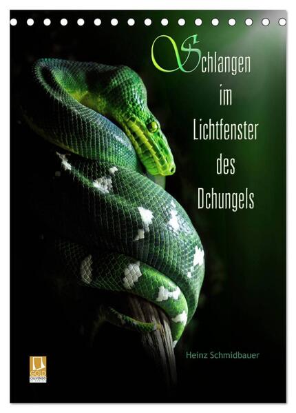 Schlangen im Lichtfenster des Dschungels (Tischkalender 2024 DIN A5 hoch) CALVENDO Monatskalender