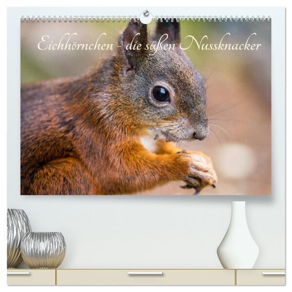 Eichhörnchen - die süßen Nussknacker (hochwertiger Premium Wandkalender 2024 DIN A2 quer) Kunstdruck in Hochglanz