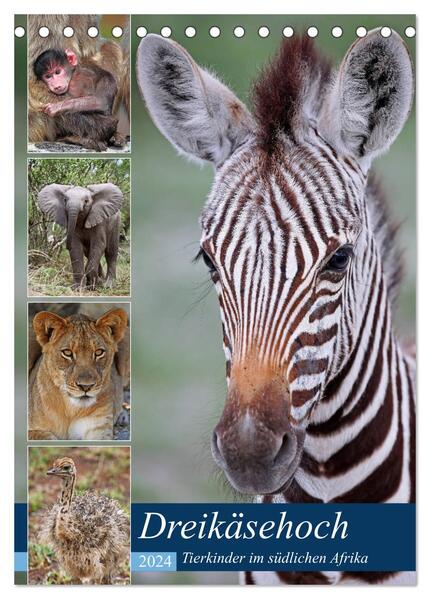 Dreikäsehoch - Tierkinder im südlichen Afrika (Tischkalender 2024 DIN A5 hoch) CALVENDO Monatskalender