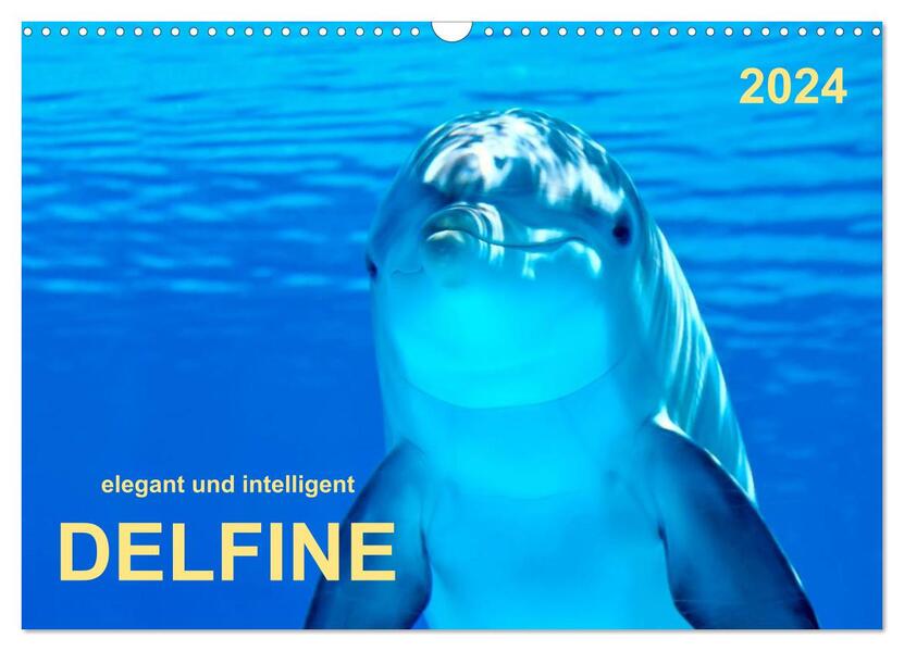 Delfine - elegant und intelligent (Wandkalender 2024 DIN A3 quer) CALVENDO Monatskalender