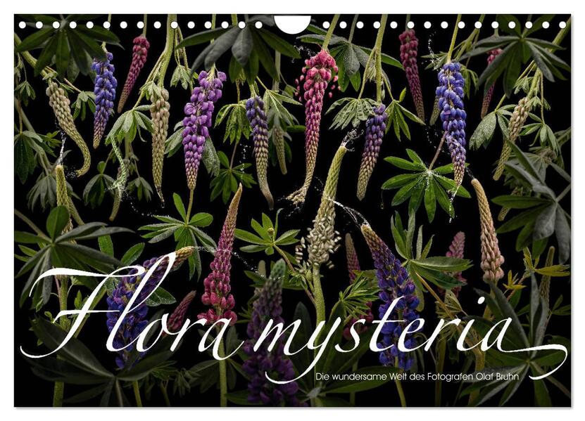 Flora mysteria - Die wundersame Welt des Fotografen Olaf Bruhn (Wandkalender 2024 DIN A4 quer) CALVENDO Monatskalender