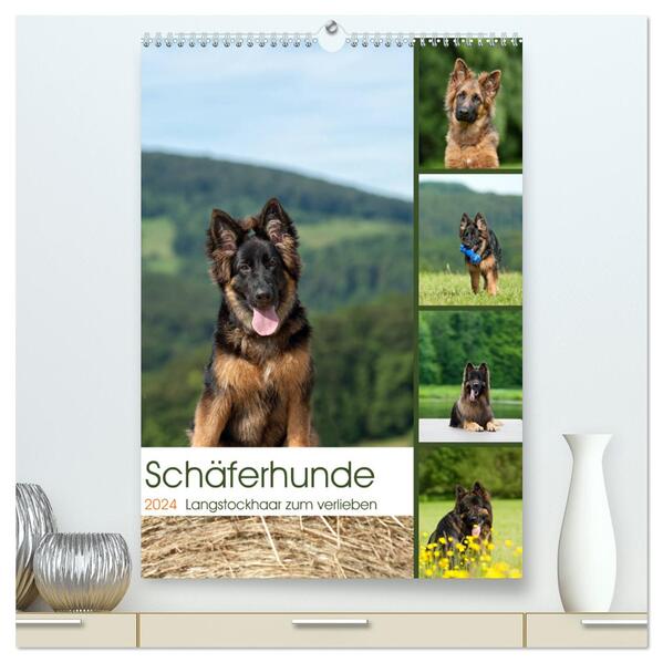 Schäferhunde Langstockhaar zum verlieben (hochwertiger Premium Wandkalender 2024 DIN A2 hoch) Kunstdruck in Hochglanz