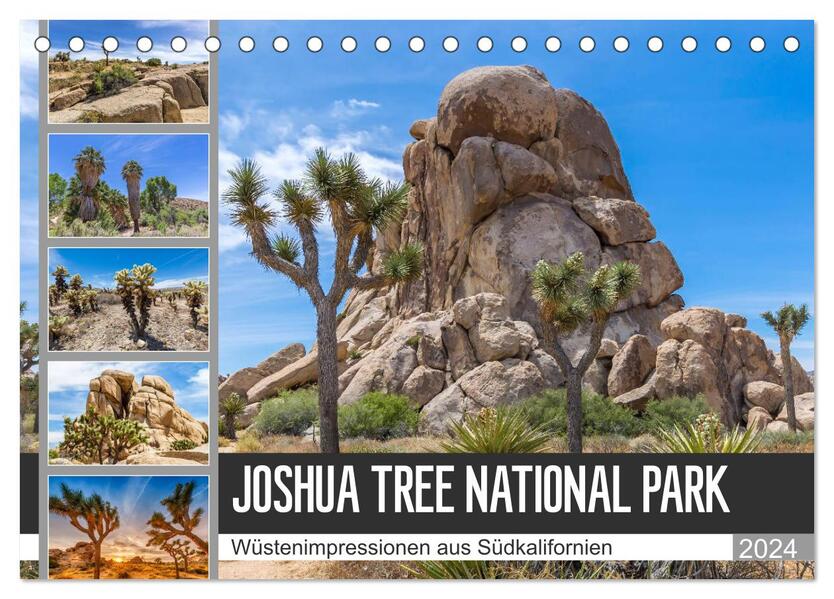 JOSHUA TREE NATIONAL PARK Wüstenimpressionen aus Südkalifornien (Tischkalender 2024 DIN A5 quer) CALVENDO Monatskalender