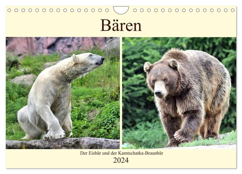 Bären - Der Eisbär und der Kamtschatka-Braunbär (Wandkalender 2024 DIN A4 quer) CALVENDO Monatskalender