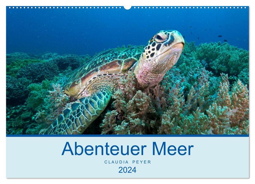 Abenteuer Unterwasser (Wandkalender 2024 DIN A2 quer) CALVENDO Monatskalender